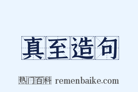 真至造句是什么意思的图片